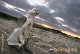 bonealone by sergio rojkes