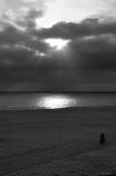 Playa Del Rey