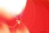 Flaming Abstract<br>by Markjay