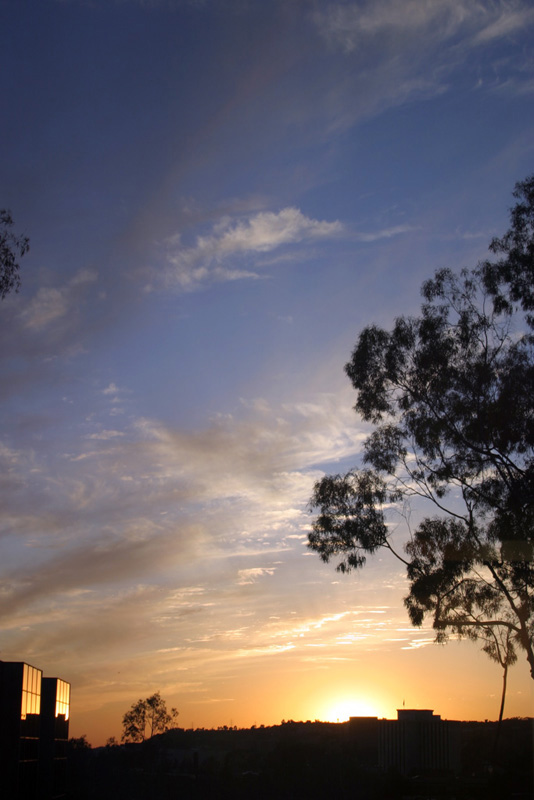 The Sun Does Set in San Diego I *