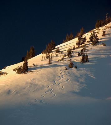 Last Run
