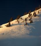 Last Run