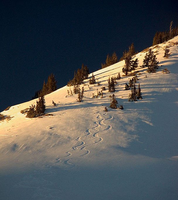 Last Run