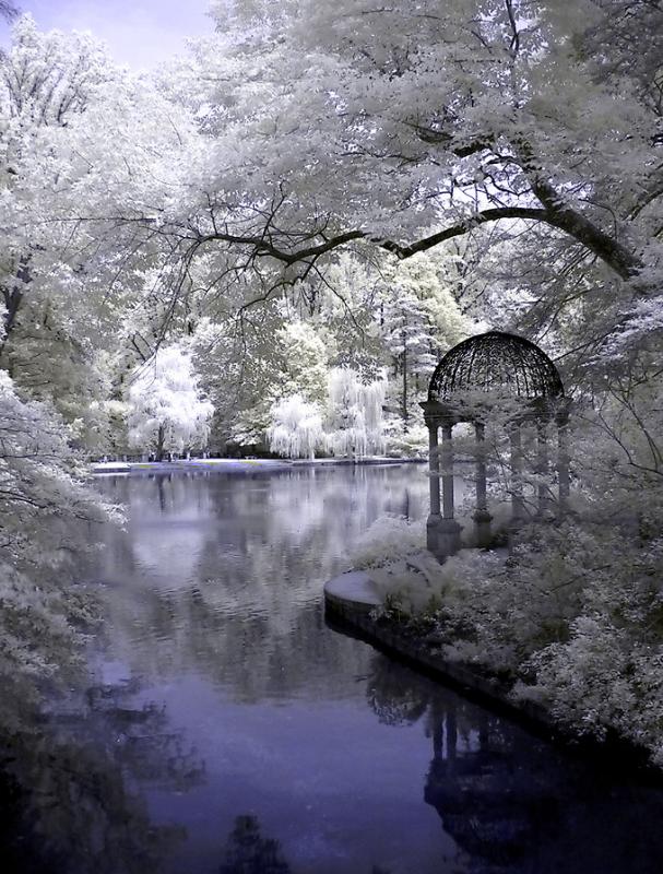 The Temple of Love