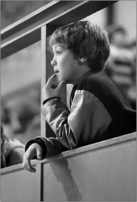 Basketball Fan