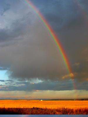 Rainbow in the Morning