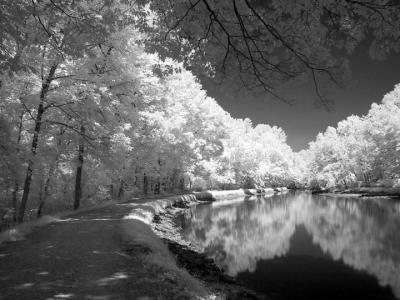 C & O Canal IR