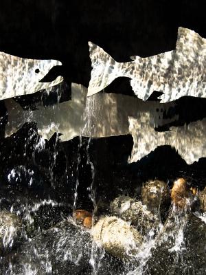 Salmon Run