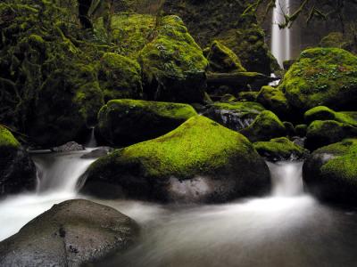 McCord Creek