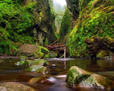 Oneonta Gorge Entrance.