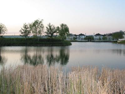 On The Lake