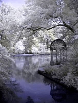 The Temple of Love