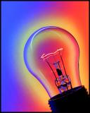 In the Bulb*