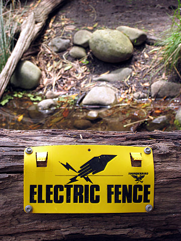 Electric fence