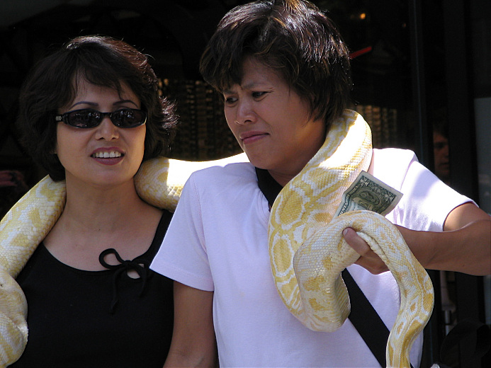 Ill pay ...If you get this snake off me!