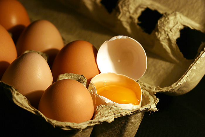 Whats Inside An Egg In A Carton<br>3rd Place