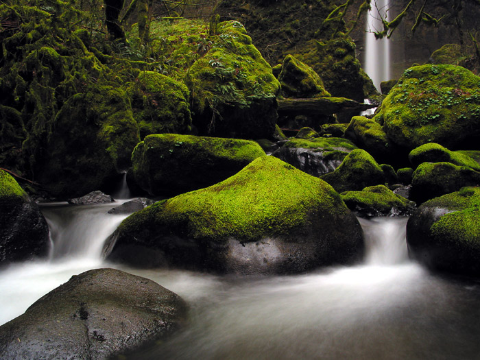 McCord Creek
