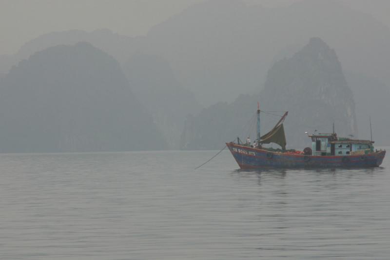 A misty morning