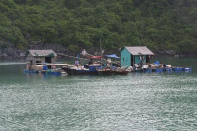 Floating village