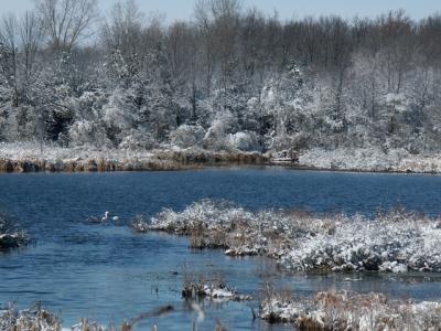 First Snow