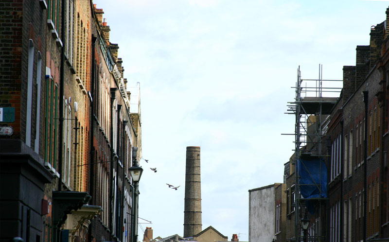 BIRDS OVER BRICK LANE
