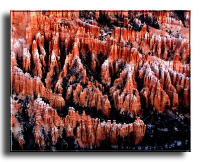 Early Light Over Hoodoos, Bryce Canyon