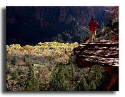 The Ledge
