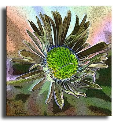 Photoshop Flower Near Paria River