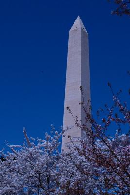 DSC_1983.jpg