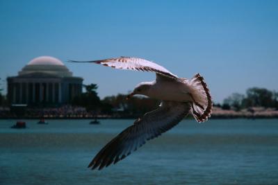 DSC_2035.jpg