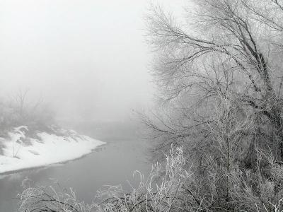 Fog on the river