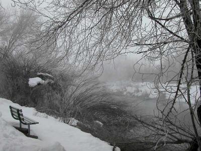 Waiting for spring