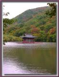 Floating Temple (Spring, Summer, Fall (Autumn), Winter... and Spring)