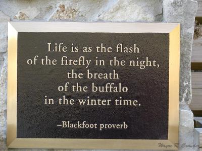 Blackfoot Proverb.jpg