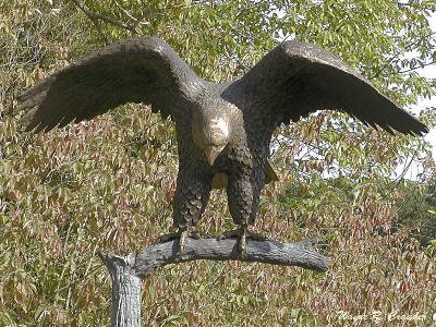 Bronze Eagle.jpg