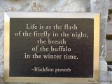 Blackfoot Proverb.jpg
