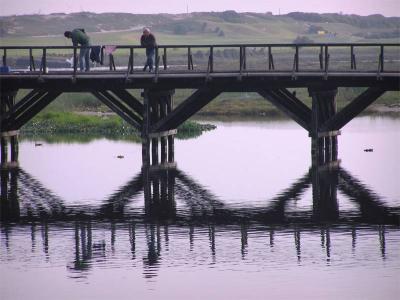 Woodbridge Fishing