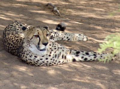 Namibia 0028s.jpg