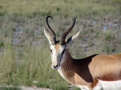 Namibia 167s.jpg