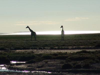 Namibia 311s.jpg