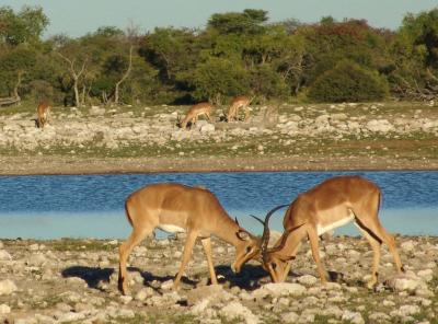 Namibia 315s.jpg