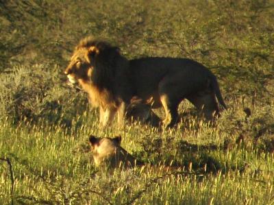 Namibia 384s.jpg