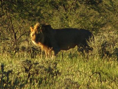 Namibia 385s.jpg