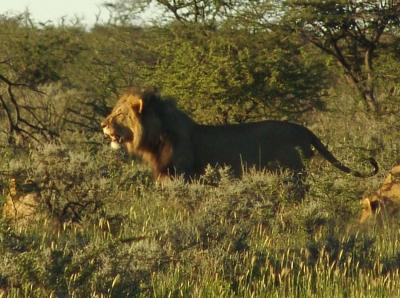 Namibia 386s.jpg