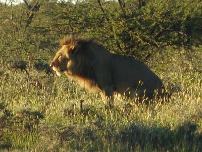 Namibia 388s.jpg