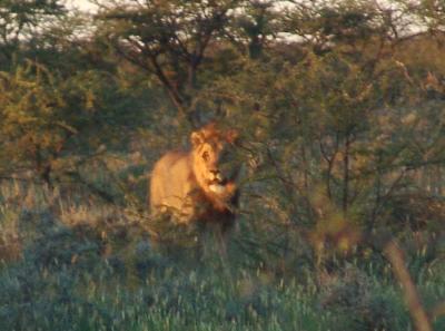 Namibia 421s.jpg