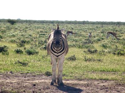Namibia 519s.jpg