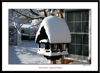 first snow squirel feeder.jpg