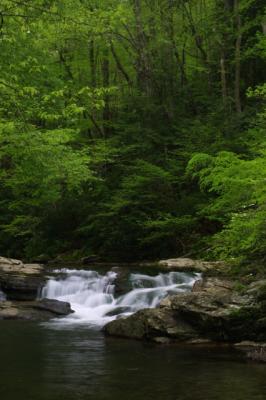 Springtime Means Flowing Water