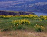 McCall Preserve2.JPG